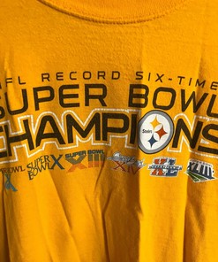 Pittsburgh Steelers Superbowl Champions Graphic Hoodie Sweatshirt - NFL Fan Gift
