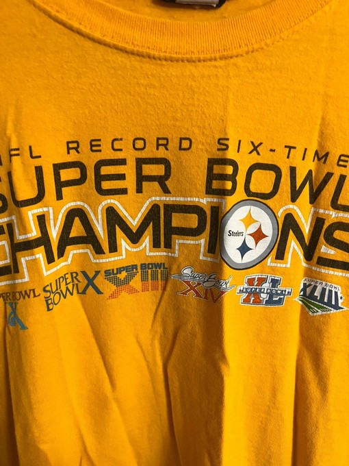 Pittsburgh Steelers Superbowl Champions Graphic Hoodie Sweatshirt - NFL Fan Gift