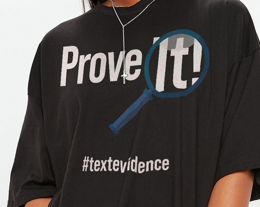 Prove It Unisex T-Shirt, Evidence Based Shirt, Research Tee, Back To School Gift, Text Evidence Shirt, Movie Fans Gifts - Image 2