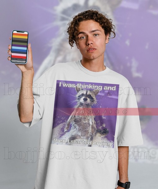 Raccoon I Started Crying Meme Shirt: Movie Shirts for Boys and Girls