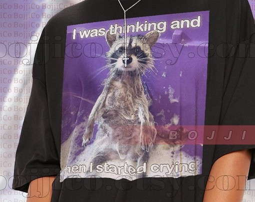 Raccoon I Started Crying Meme Shirt: Movie Shirts for Boys and Girls - Image 2