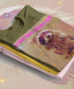 Raccoon I'm Not Like Other Girls Meme Shirt: Movie Shirts for Women and Girls