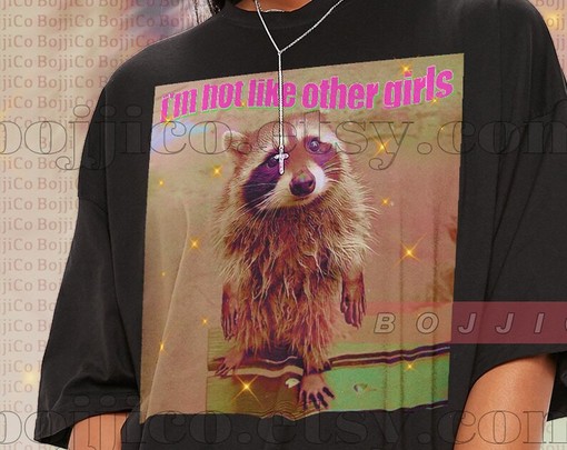 Raccoon I'm Not Like Other Girls Meme Shirt: Movie Shirts for Women and Girls - Image 2