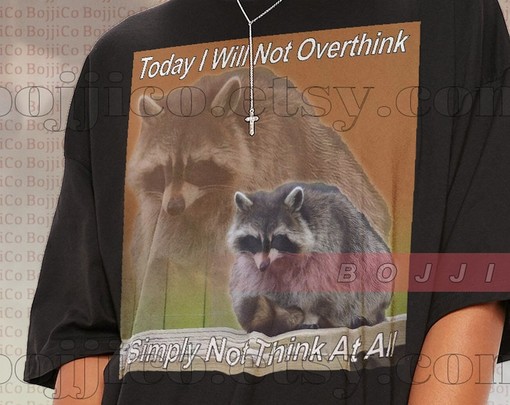 Raccoon's Mindful Meme Shirt Let's You Relax - Opossums Lover Shirt, Possums Shirt, and Eat Trash Possum Tee - Image 2
