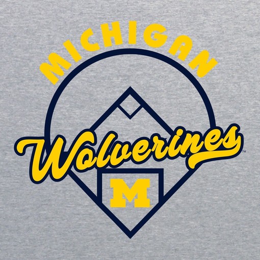 Represent Michigan Wolverines with this Basketball Net Block Crewneck Shirt - Image 2
