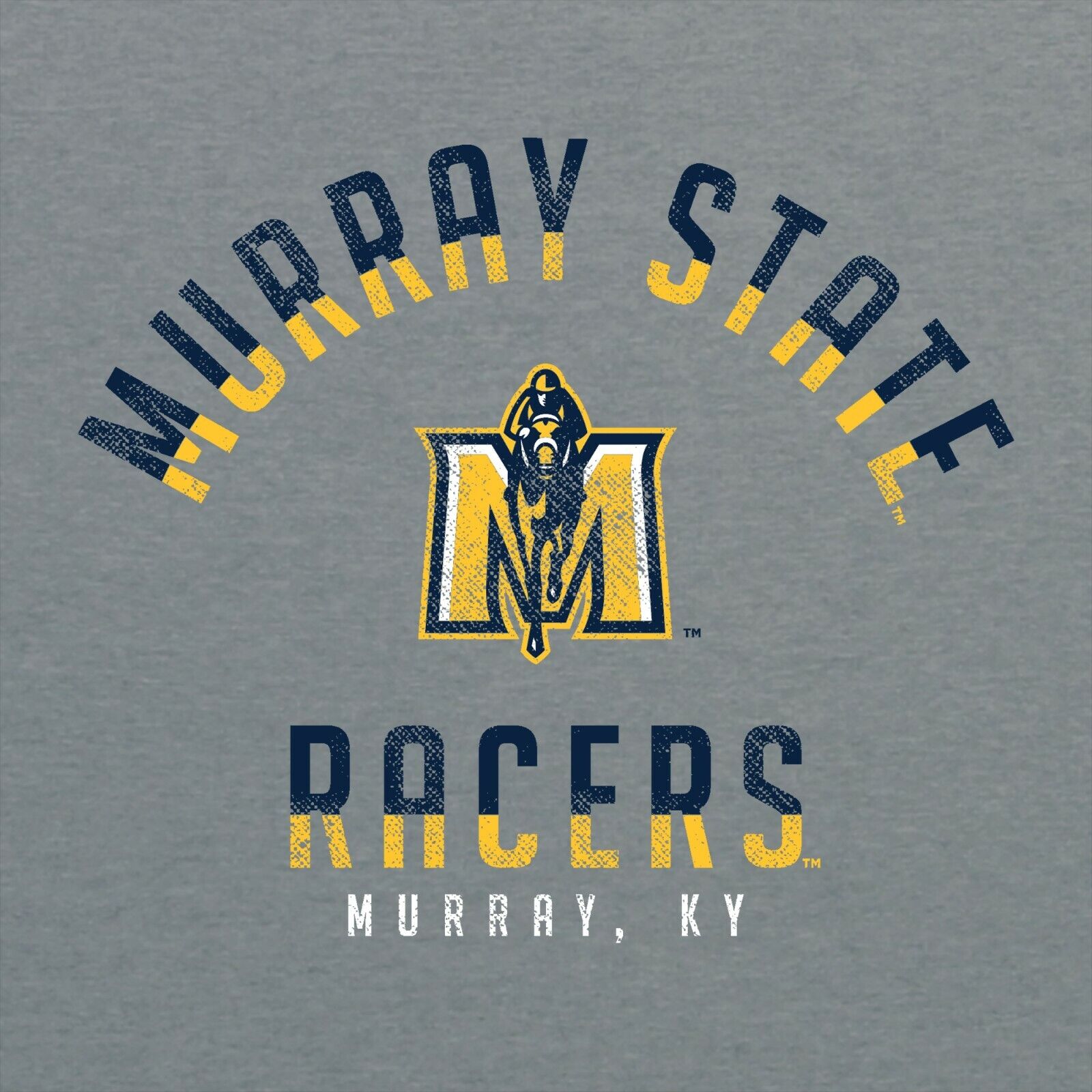 Represent in this Nasl Philadelphia Spartans Ugp Classics Basic Shirt Sweatshirt Vintage Style Hoodie Gifts - Image 2