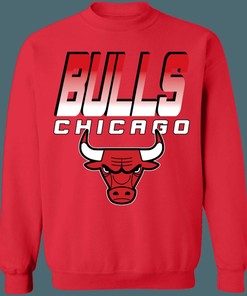 Retro NBA Chicago Bulls Vintage Sweatshirt Hoodie - Perfect for Fans