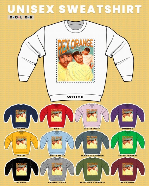 Rex Orange County Homage Fan Sweatshirt - Vintage Style Tribute - Image 3