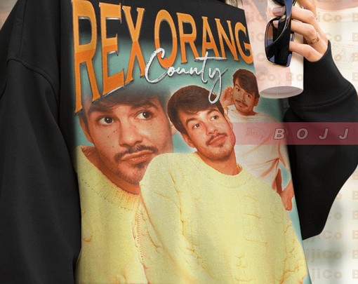 Rex Orange County Homage Fan Sweatshirt - Vintage Style Tribute - Image 4