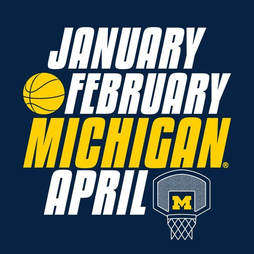 Shadow Stretch Block Michigan Wolverines Crewneck Shirt for Sports Wins - Image 2
