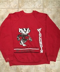 Show Your Support with Wisconsin Badgers Vintage Style Sweatshirt Bundle, NCAA Fan Gift with ncaa shirts women