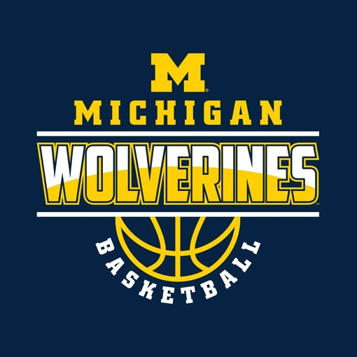 Show your support with this Officially Licensed Michigan Wolverines Dynasty Logo Premium Crewneck Shirt - Image 2