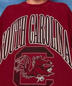 South Carolina College NCAA Tee Shirt, Sweatshirt & Hoodie Perfect for NCAA Fans of All Sizes