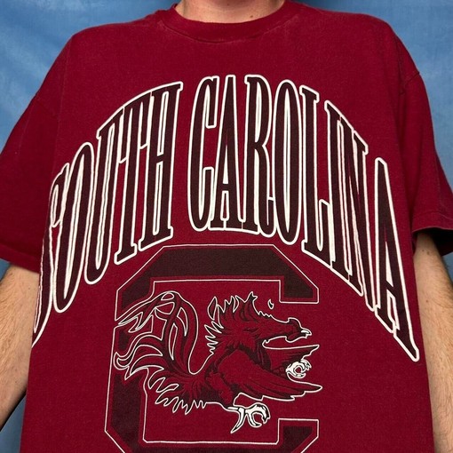 South Carolina College NCAA Tee Shirt, Sweatshirt & Hoodie Perfect for NCAA Fans of All Sizes