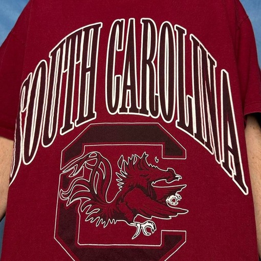 South Carolina College NCAA Tee Shirt, Sweatshirt & Hoodie Perfect for NCAA Fans of All Sizes - Image 2