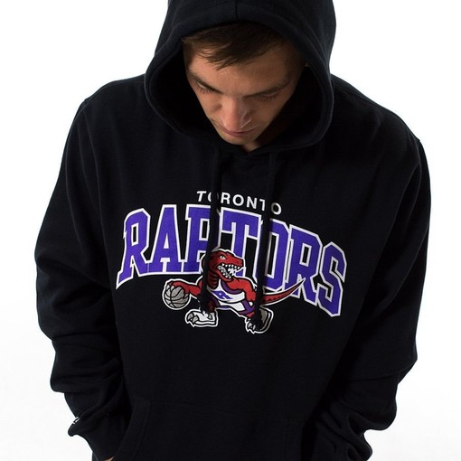 Toronto Raptors Logo Hoodie NBA 2022-2023 Unisex Sweatshirt Hoodie for NBA Fans