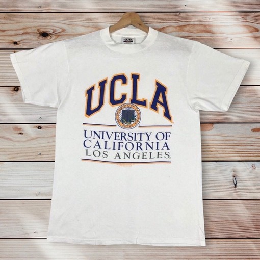 UCLA University Vintage Style T-Shirt, Printed University Logo Graphic, Hoodie