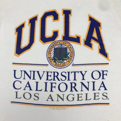 UCLA University Vintage Style T-Shirt, Printed University Logo Graphic, Hoodie - Image 2