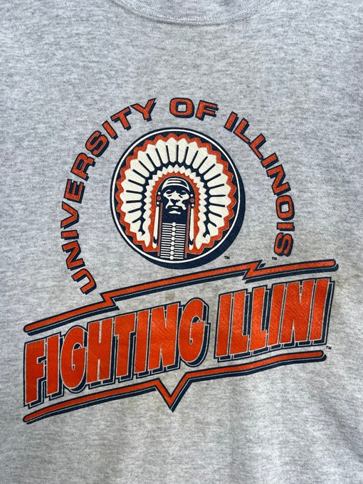 University Of Illinois Vintage Unisex Sweatshirt Hoodie Shirt, NCAA Shirts - Image 2