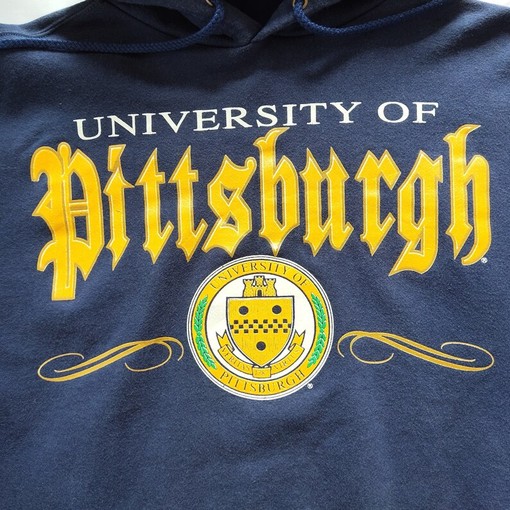 University Of Pittsburgh Panthers Vintage 90s Sport Sweatshirt Hoodie - Image 2