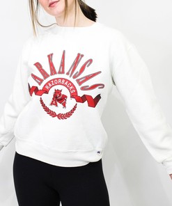 University of Arkansas Vintage Sweatshirt, Hoodie, Shirt - Full Size - Hogs Shirt Gifts for Razorbacks Lovers