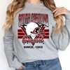 University of South Carolina Football Fan Shirt | NCAA Shirts for Men and Women