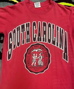 University of South Carolina Spellout Tee, Sweatshirt & Hoodie Ideal NCAA Gifts for Fans
