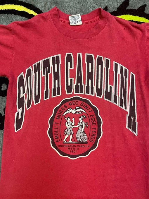 University of South Carolina Spellout Tee, Sweatshirt & Hoodie Ideal NCAA Gifts for Fans