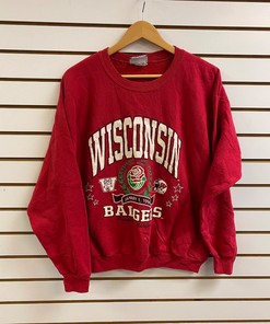 University of Wisconsin Badger State Pullover Sweatshirt - NCAA Football Gear for Sports Supporters