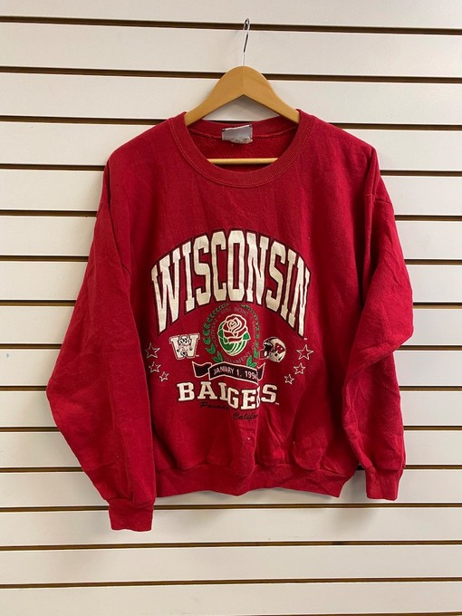 University of Wisconsin Badger State Pullover Sweatshirt - NCAA Football Gear for Sports Supporters