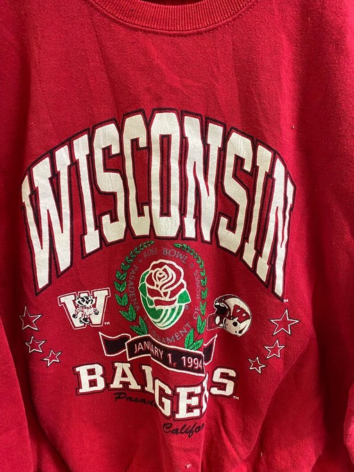 University of Wisconsin Badger State Pullover Sweatshirt - NCAA Football Gear for Sports Supporters - Image 2
