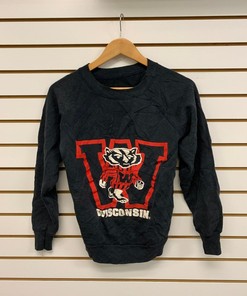 University of Wisconsin Badger State Pullover Sweatshirt - Vintage Style - NCAA Gift for Sports Enthusiasts