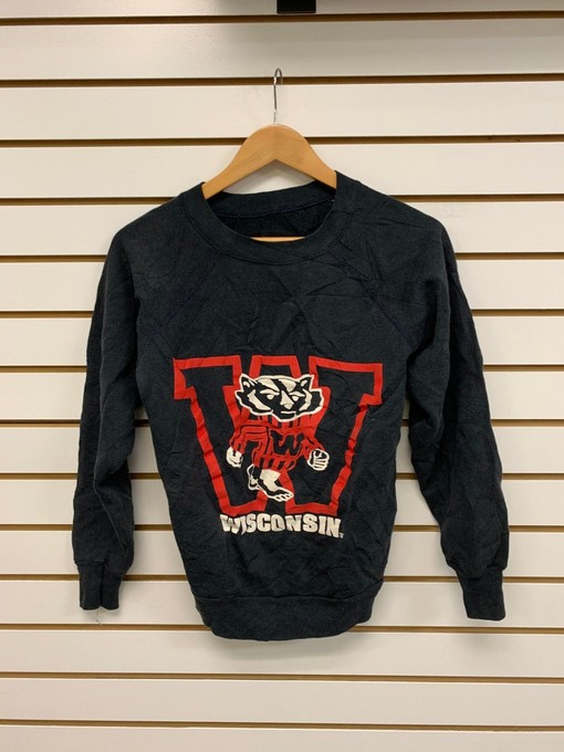 University of Wisconsin Badger State Pullover Sweatshirt - Vintage Style - NCAA Gift for Sports Enthusiasts