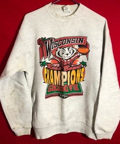 University of Wisconsin Badgers Sweatshirt - Champion - Vintage Design for Supporters