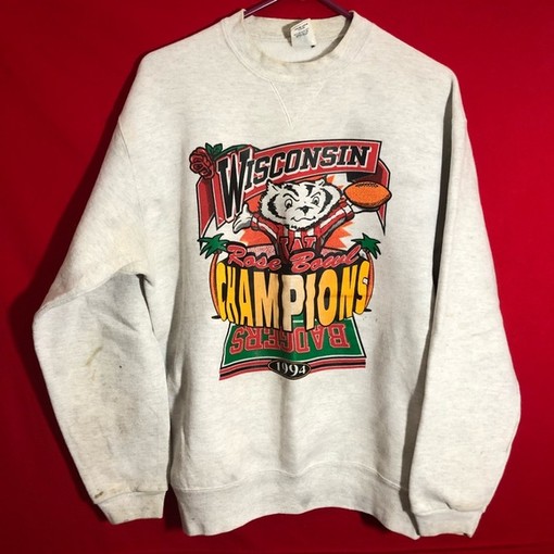 University of Wisconsin Badgers Sweatshirt - Champion - Vintage Design for Supporters