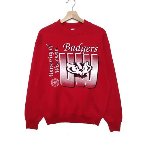 University of Wisconsin Vintage T Shirt and Sweatshirt Bundle, Ideal NCAA Gift for Fans with ncaa shirts for men