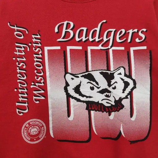 University of Wisconsin Vintage T Shirt and Sweatshirt Bundle, Ideal NCAA Gift for Fans with ncaa shirts for men - Image 2