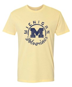 Us Naval Academy Midshipmen Arch Logo Licensed Shirt, Unisex Sweatshirt Hoodie for Fans
