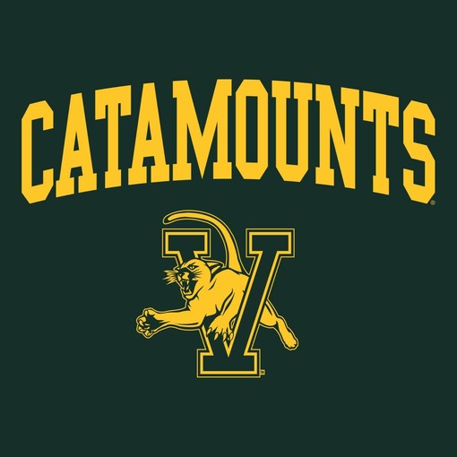Vermont Catamounts Primary Logo Shirt, Unisex Sweatshirt Hoodie for NCAA Fans - Image 2