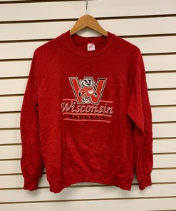 Vintage 1990s Wisconsin Badger State Pullover Sweatshirt - NCAA Football Fan Gear for Fans