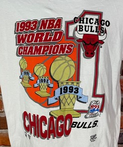 Vintage 1993 Chicago Bulls NBA Champions Shirt Sweatshirt Hoodie - Must-have for Fans