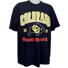 Vintage 1993 Colorado Buffaloes Fiesta Bowl T-Shirt, Retro NCAA Shirts, Vintage 90s Sweatshirt