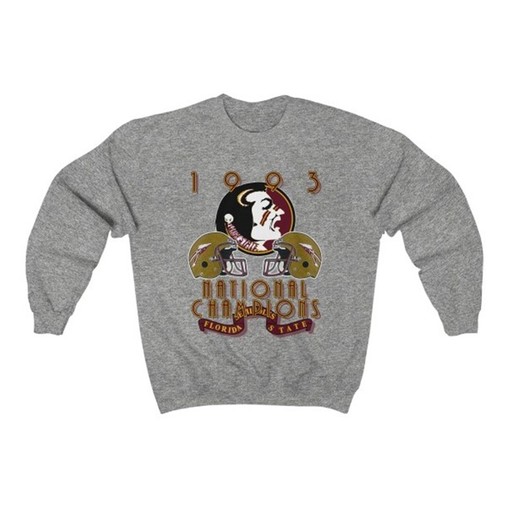 Vintage 1993 University of Florida State Seminoles Football Crewneck Sweatshirt - Vintage 90s Sweatshirt