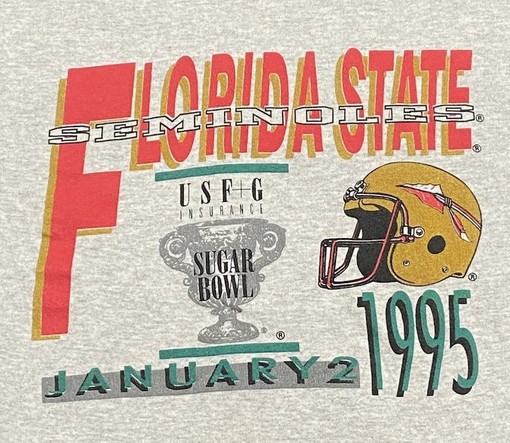 Vintage 1995 Florida State University Seminoles Crewneck Sweatshirt, T shirt, Hoodie - Image 2