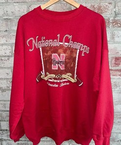 Vintage 1995 Nebraska Huskers National Champs T-Shirt & Sweatshirt - American Football Sports Gifts
