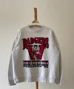Vintage 1995 Wisconsin Badgers Football Sweatshirt - NCAA Fan Gear for Fans