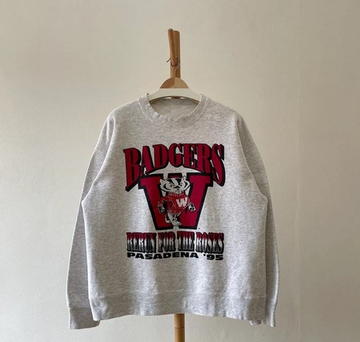 Vintage 1995 Wisconsin Badgers Football Sweatshirt - NCAA Fan Gear for Fans