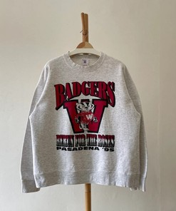 Vintage 1995 Wisconsin Badgers University Football Crewneck Sweatshirt, T-Shirt, Hoodie
