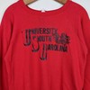 Vintage 60s University of South Carolina Gamecocks Sweatshirt & Hoodie Ideal for NCAA Fans
