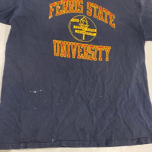Vintage 80S Champion Ferris State University T-Shirt Sweatshirt for Sports Fans - Image 2